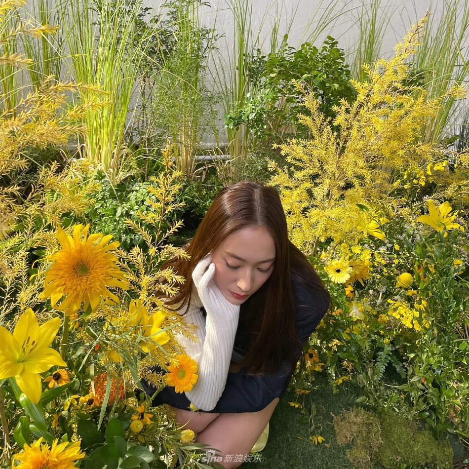 組圖：Krystal鄭秀晶拍早春大片 花朵圍繞打造清新氛圍