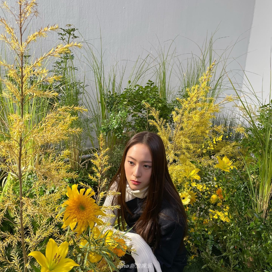 組圖：Krystal鄭秀晶拍早春大片 花朵圍繞打造清新氛圍