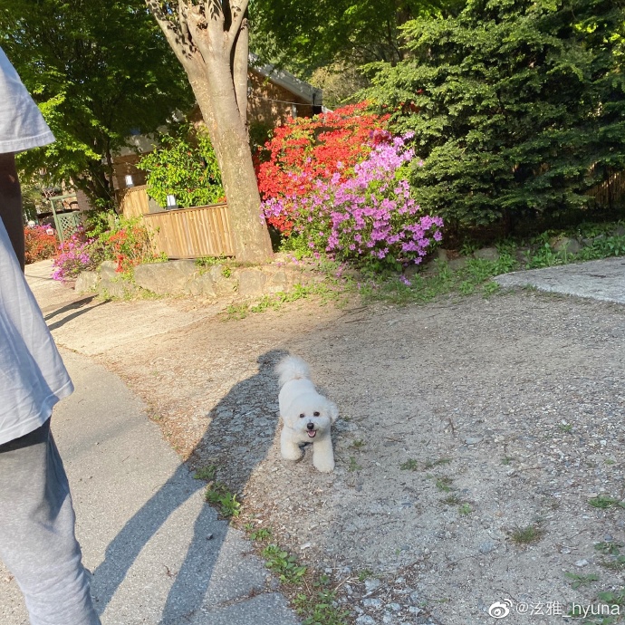 組圖：泫雅與男友金曉鍾出遊 穿抹胸上衣坐檯階擺pose性感俏皮