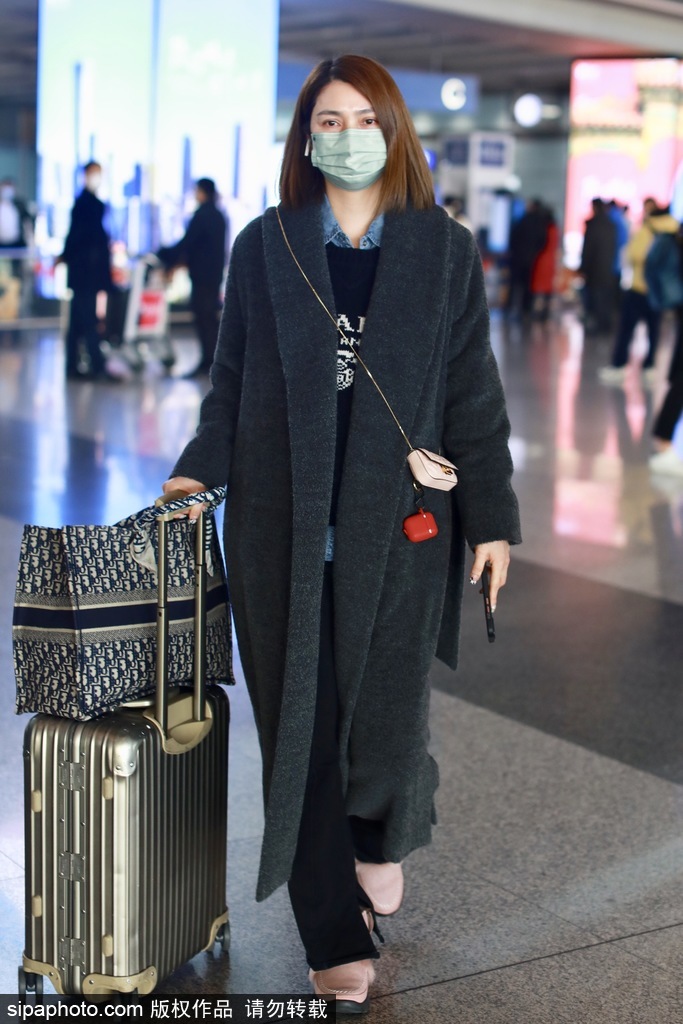 组图：洪欣推行李箱低调现身机场 穿灰色大衣简约又时尚