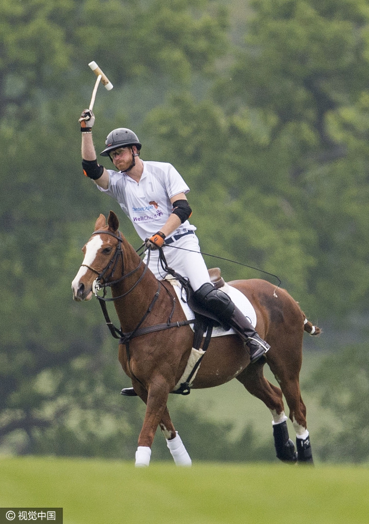 组图:哈里王子打马球英姿飒爽 策马奔腾身手矫健