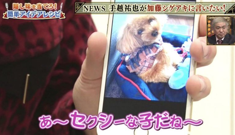 杰尼斯艺人手越祐也陷桃色新闻住处内景遭曝光 新浪图片