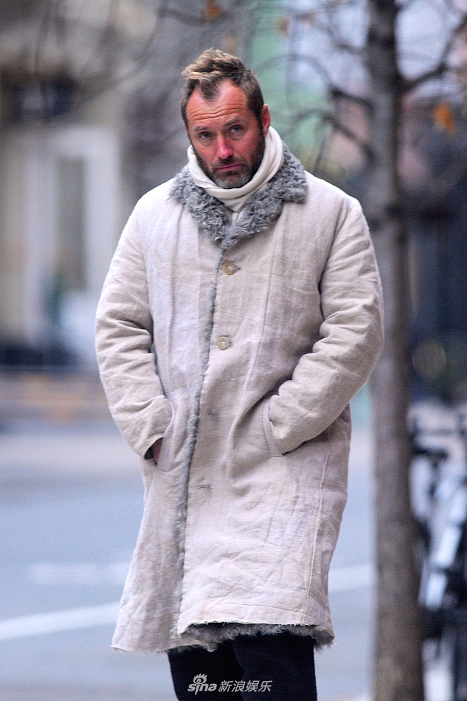 组图裘花美颜不再裘德洛头发胡子变白发际线惹眼