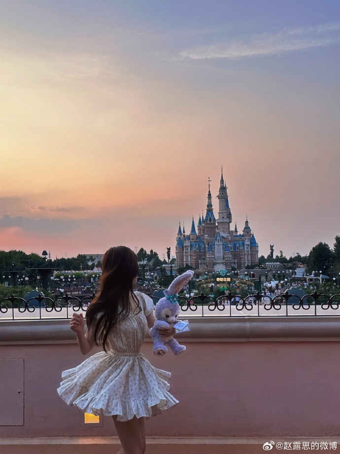 赵露思晒迪士尼游玩背影照 穿碎花裙手拿星黛露甜美可人