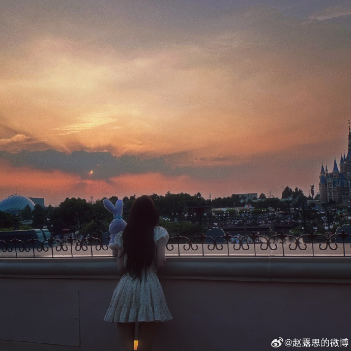 赵露思晒迪士尼游玩背影照 穿碎花裙手拿星黛露甜美可人