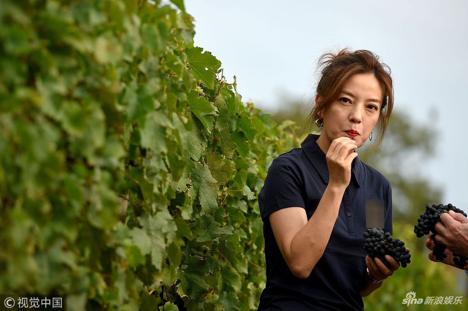 组图赵薇扎丸子头开怀甜笑挎果篮漫步田园画风清新
