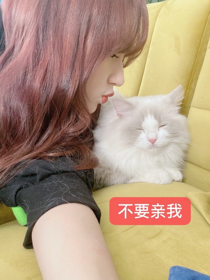 组图:程潇自拍甜美似芭比娃娃 调侃爱猫"被迫营业"_高清图集_新浪网