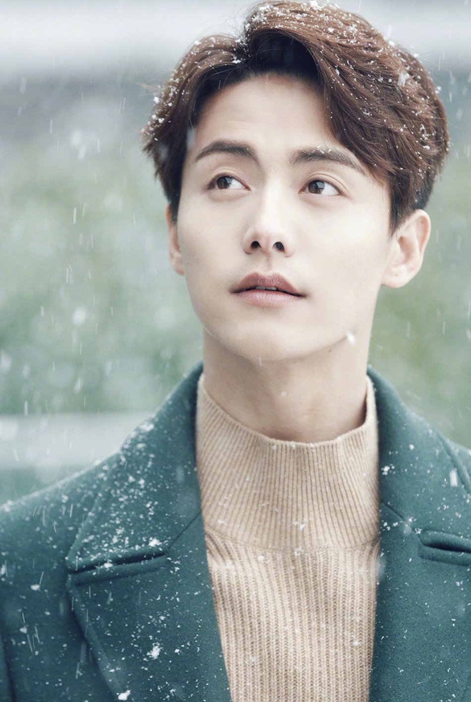 组图:马天宇雪地写真曝光 穿绿西装眼神忧郁动人