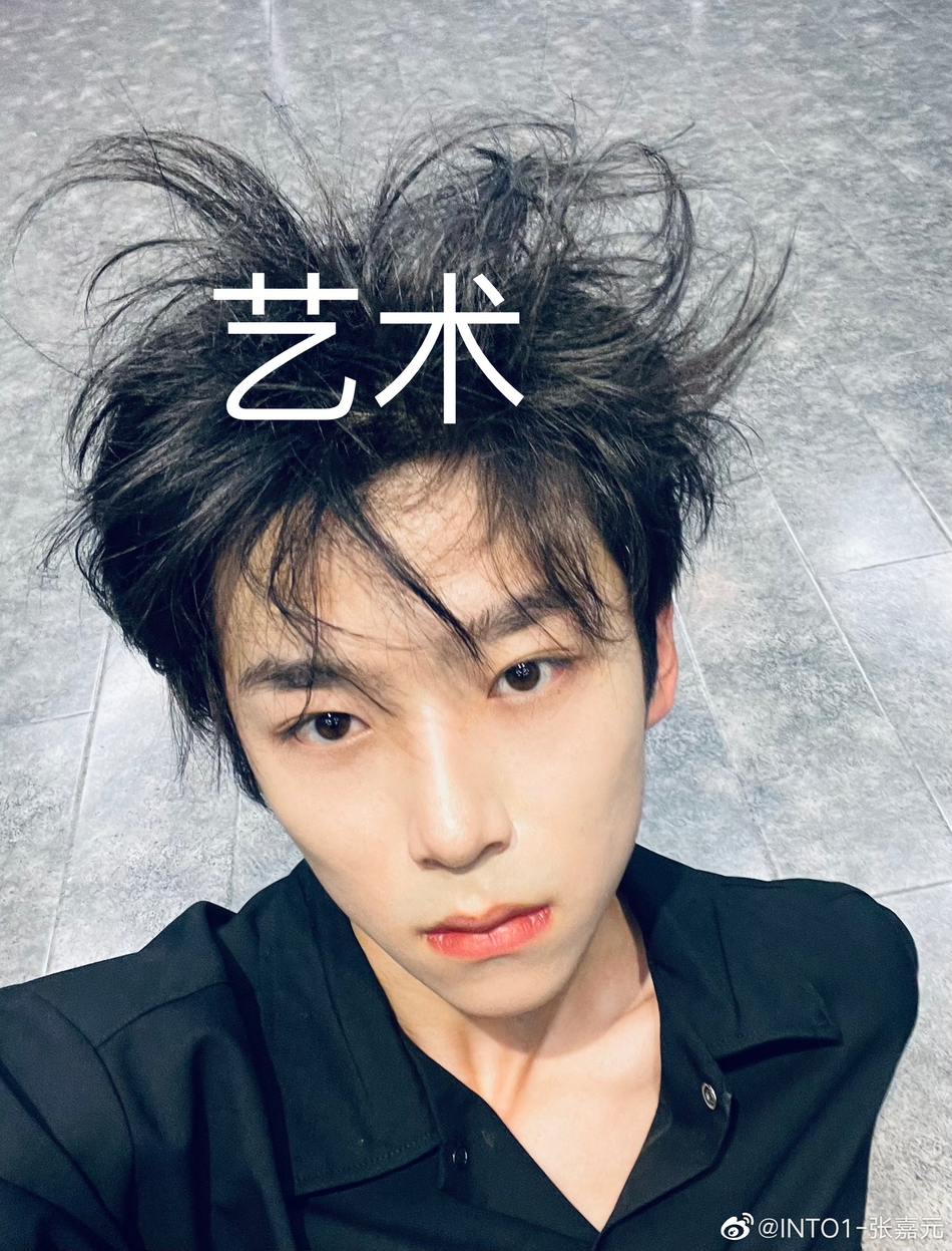 组图:张嘉元晒出鸟窝头自拍 称凌乱发型为艺术被赞可爱