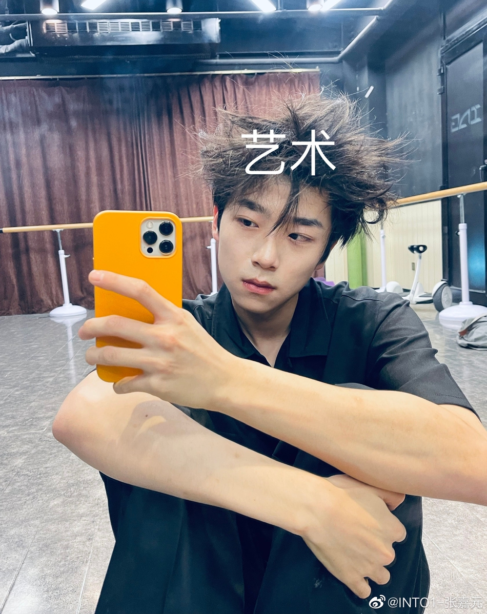 组图:张嘉元晒出鸟窝头自拍 称凌乱发型为艺术被赞可爱