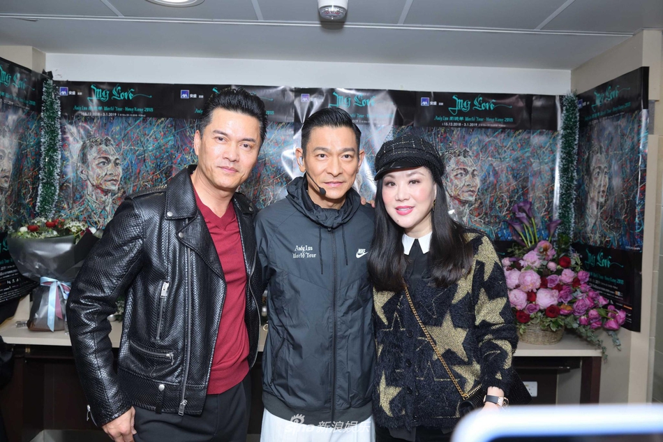 组图:刘嘉玲穿性感豹纹助阵刘德华 梁咏琪陈慧琳等好友云集