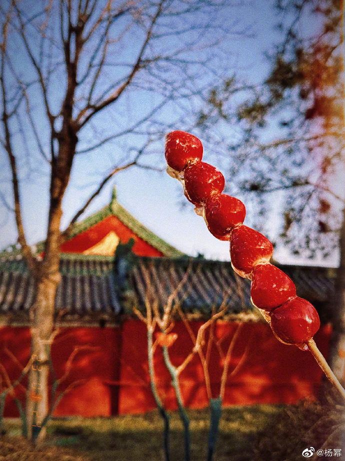 组图:杨幂晒什刹海游玩照 蓝色短发造型好似精灵