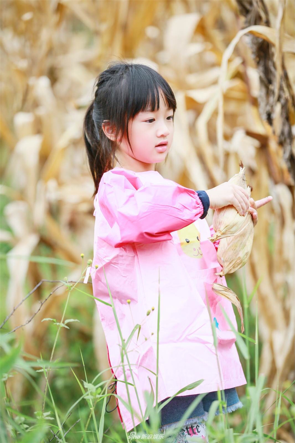 组图:接地气!吴尊带萌娃干农活 neinei与max不娇气卖力帮忙