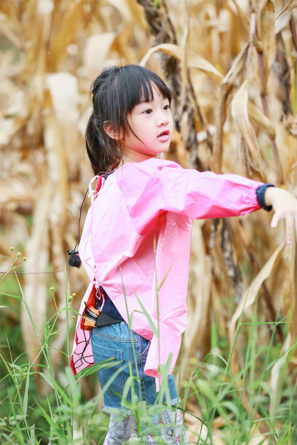 组图:接地气!吴尊带萌娃干农活 neinei与max不娇气卖力帮忙