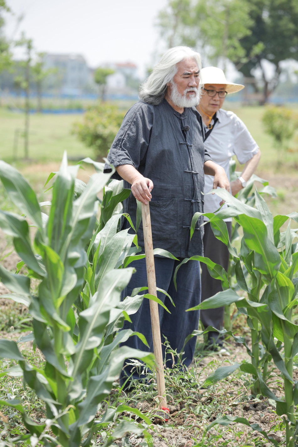 组图:68岁张纪中近照曝光 除草耕地精神矍烁状态满分