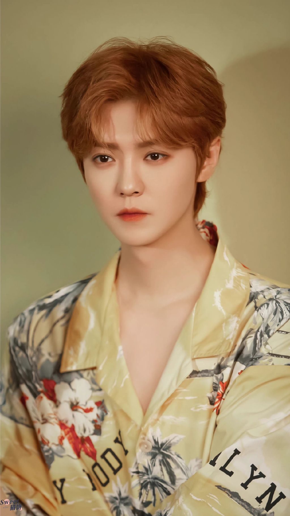 组图:鹿晗最新活动写真 穿黄色印花衬衣皮肤白皙侧颜精致_高清图集