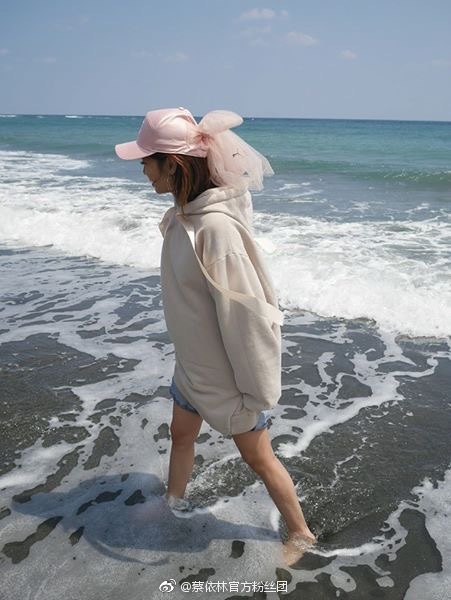 长鼻子的毛菇小象的微博_微博