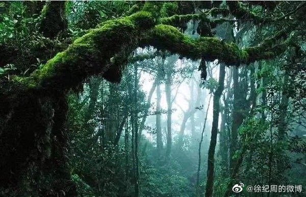 组图：《特战荣耀》导演晒拍摄现场照对燕破岳说往前跑吧别回头第8张图片