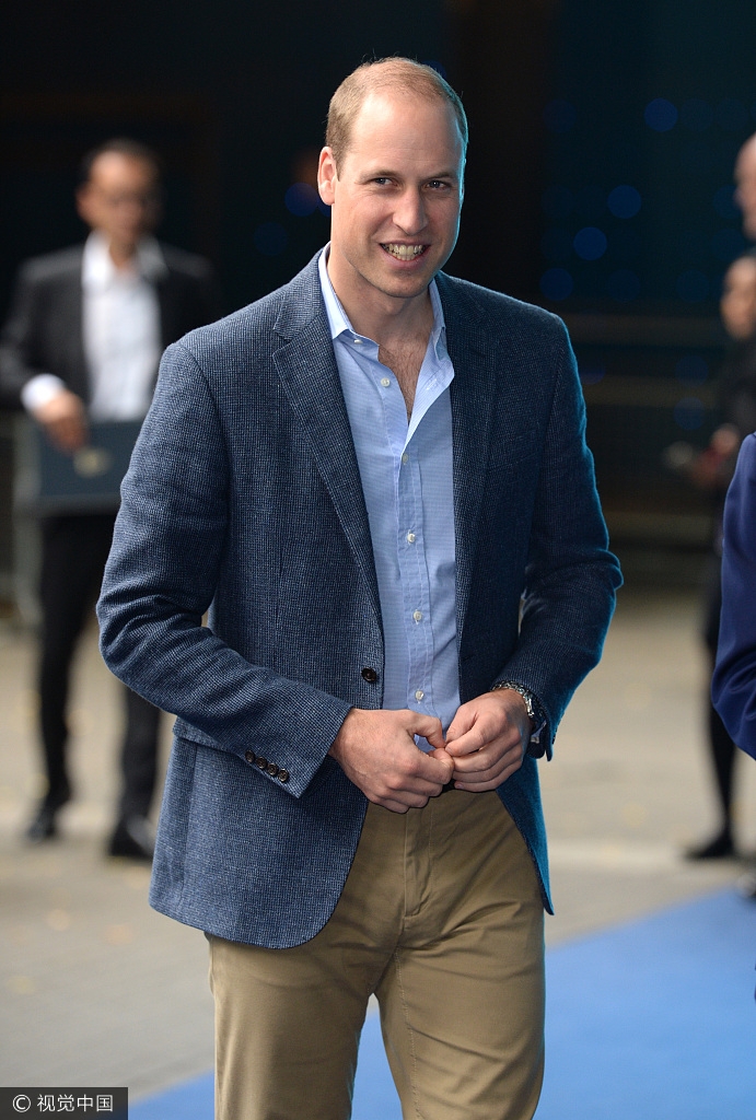 组图:威廉王子坐小板凳听讲解 与小朋友打成一片超亲民_高清图集_新浪