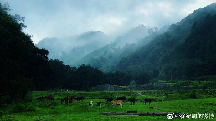 组图：《特战荣耀》导演晒拍摄现场照对燕破岳说往前跑吧别回头第4张图片