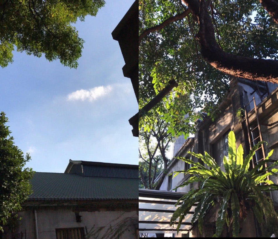 组图:周杰乡下豪宅气势恢宏 与千亩农场构成巨幅太极图