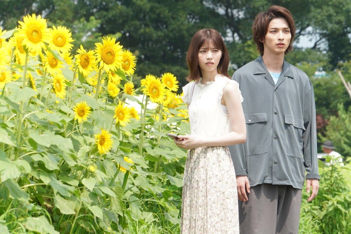 组图:《轮到你了》第16集剧照发布 黑岛二阶堂向日葵田约会