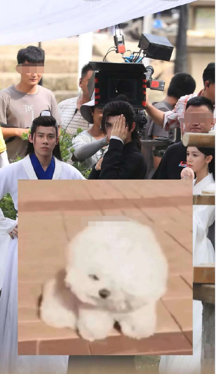 组图皓衣行最新路透曝光陈飞宇陈瑶周奇同框对戏