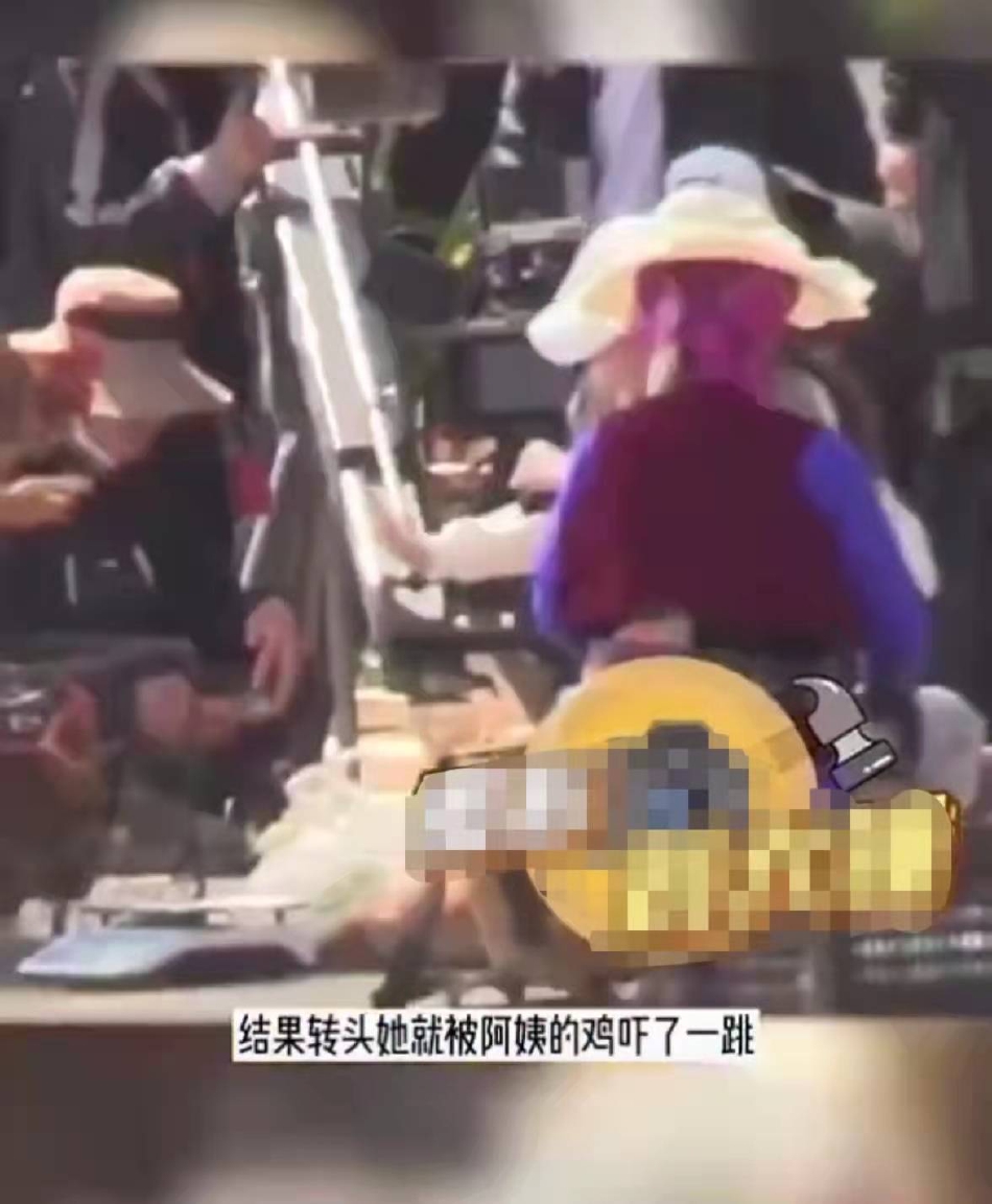 组图：刘亦菲菜市场拍新剧接地气被鸡吓一跳赶忙摆手拒绝第2张图片