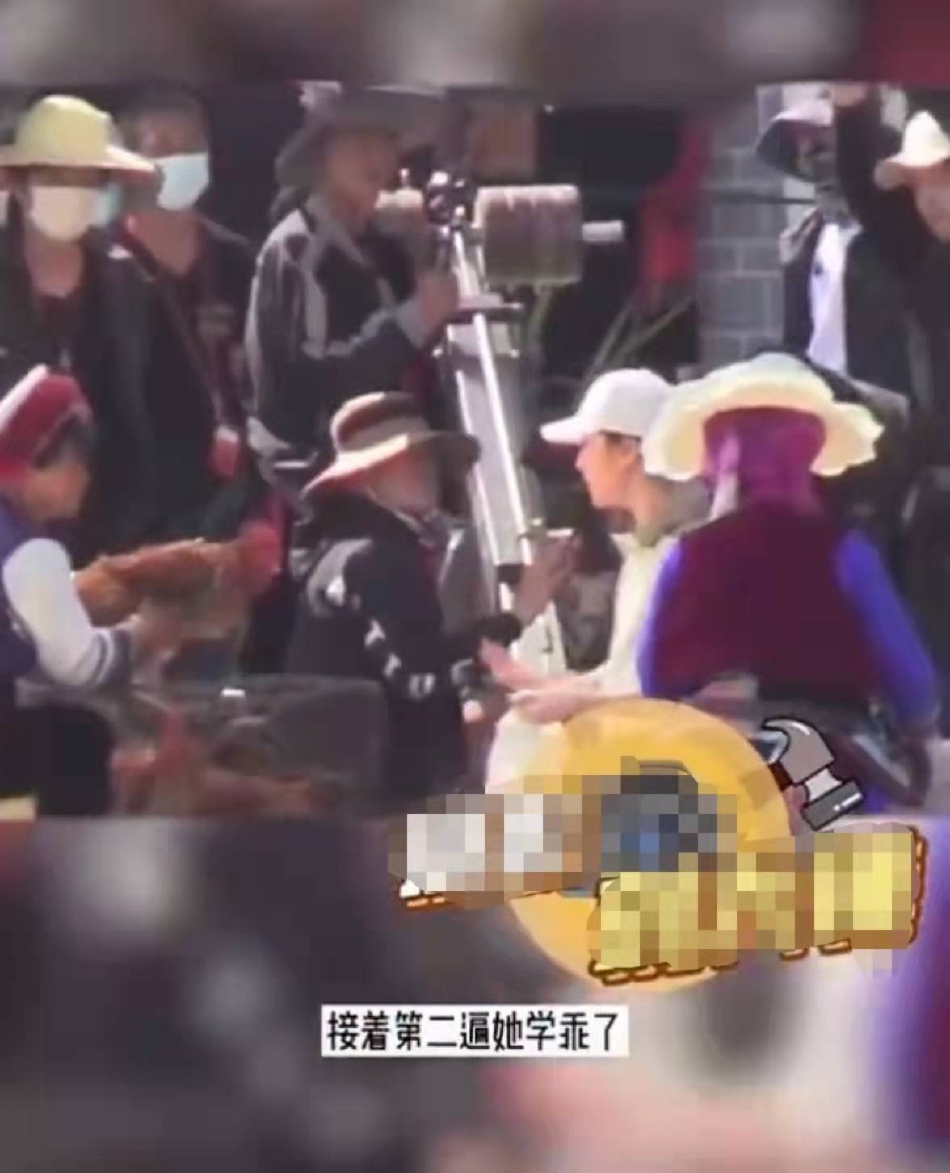 组图：刘亦菲菜市场拍新剧接地气被鸡吓一跳赶忙摆手拒绝第3张图片