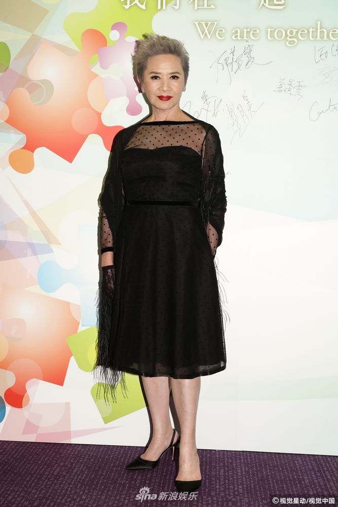 组图:舞台剧颁奖礼群星现身 71岁叶德娴灰发红唇显年轻_高清图集_新浪