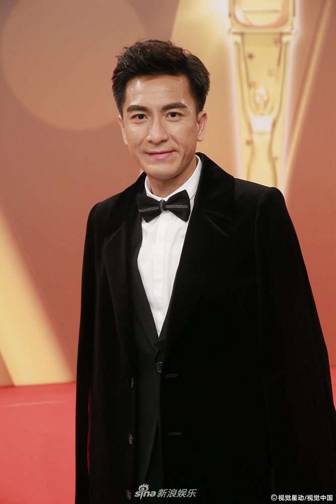 组图:tvb台庆红毯 马国明帅气亮相与黄智雯唐诗咏亲密互动