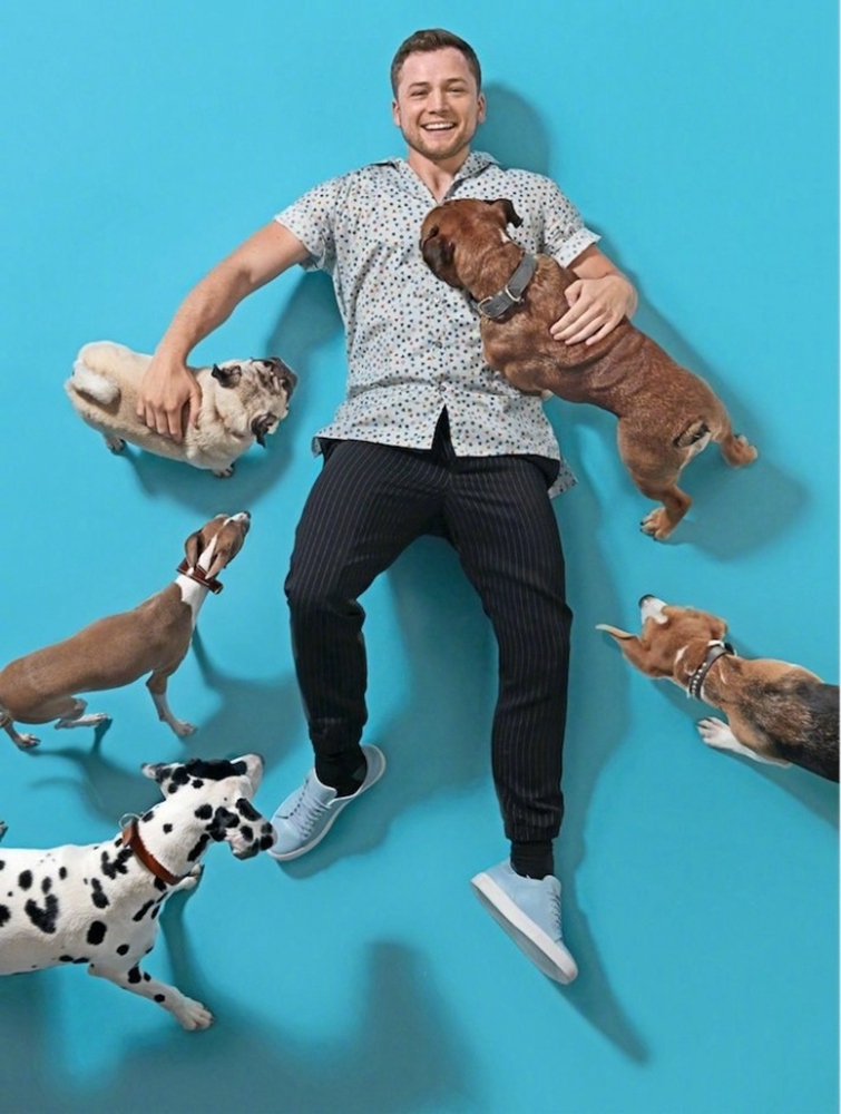 《王牌特工2》蛋蛋萌宠写真实力诠释"男友与狗"|王牌特工2|科林·