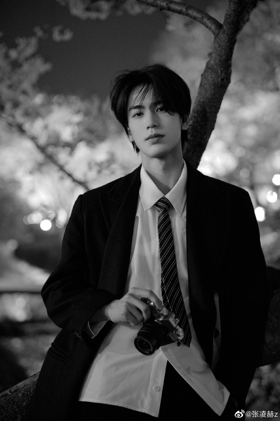 组图:张凌赫仰头赏樱氛围感拉满 学院风造型似元气男高