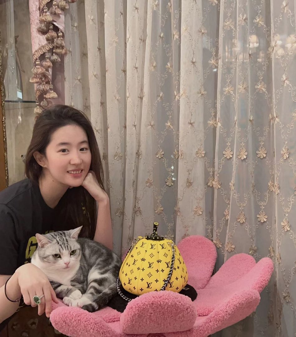组图:刘亦菲分享日常素颜美照 黑长直发型与猫咪互动眼神温柔_高清