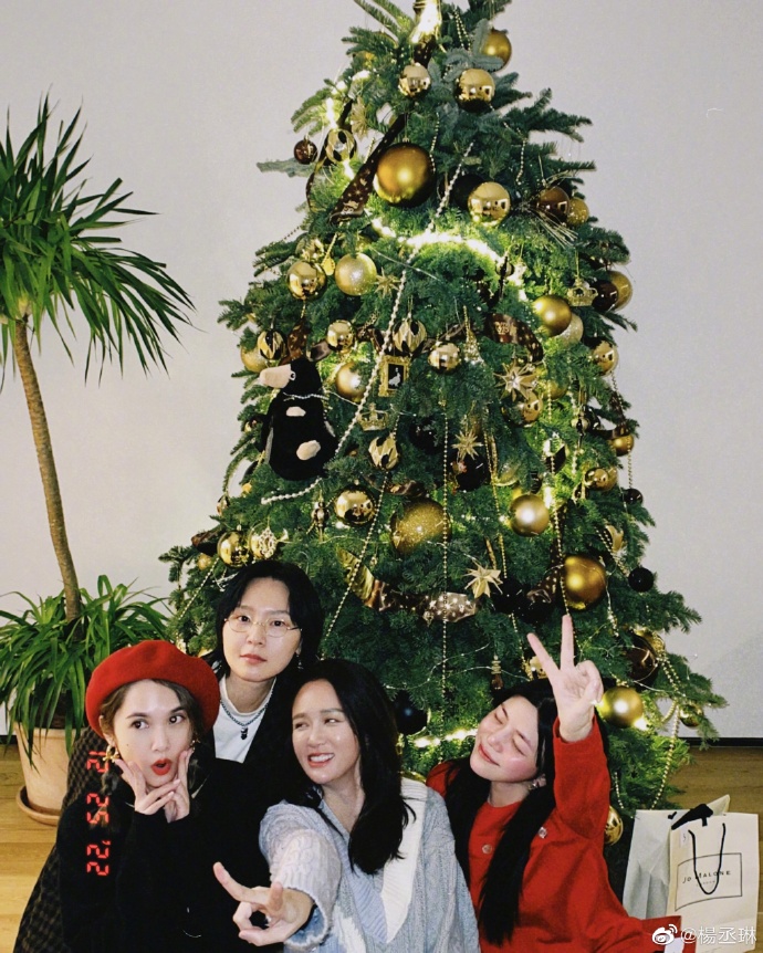 组图：杨丞琳晒与陈乔恩陈妍希周笔畅合照 圣诞树下比耶笑容灿烂