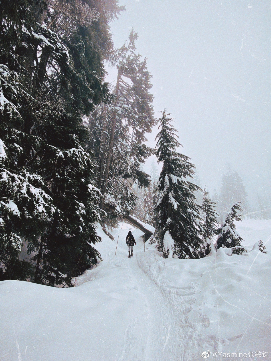 组图:钟丽缇女儿晒雪地行走照片 穿滑雪服一头长发温柔美丽