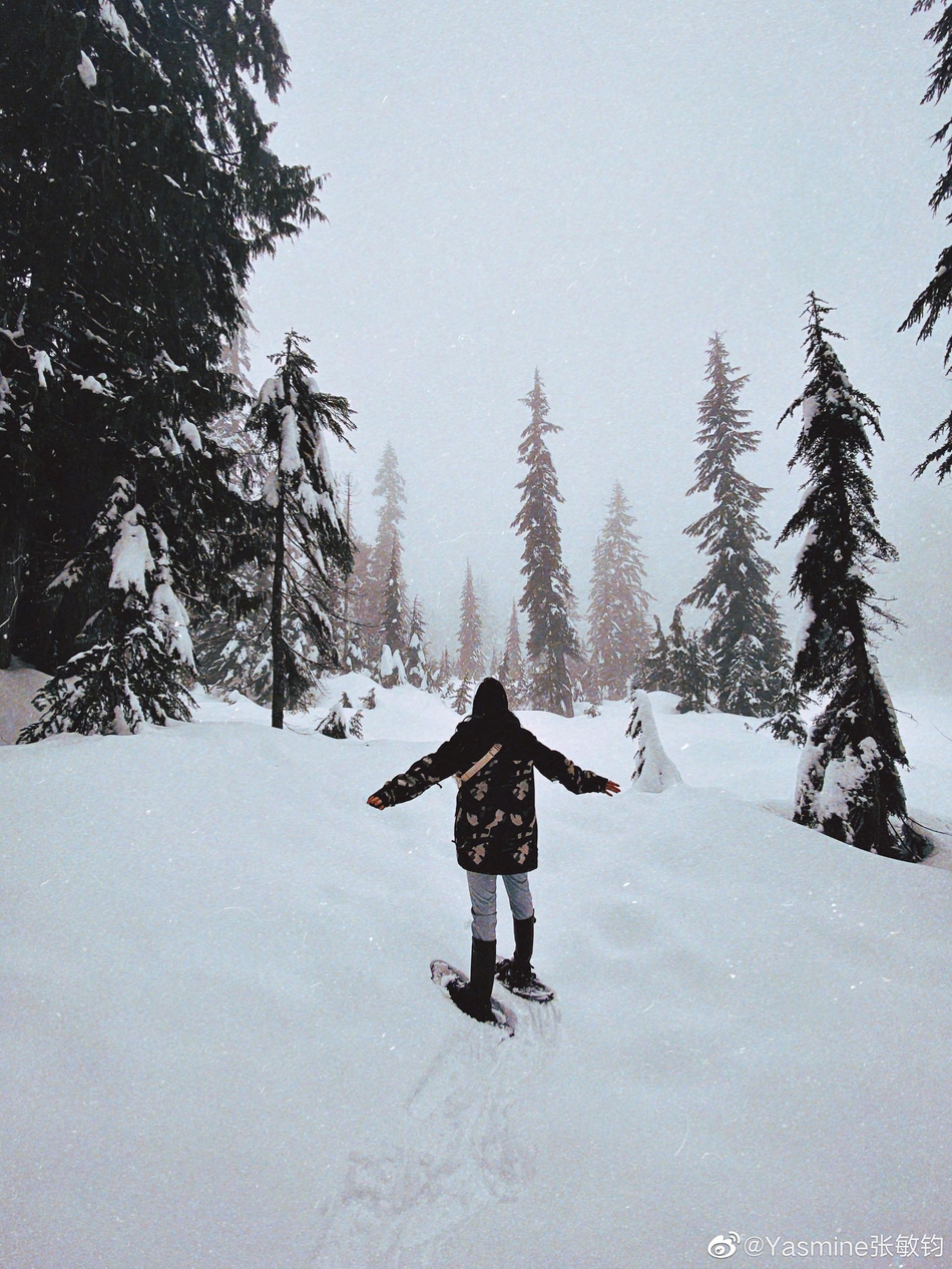 组图:钟丽缇女儿晒雪地行走照片 穿滑雪服一头长发温柔美丽