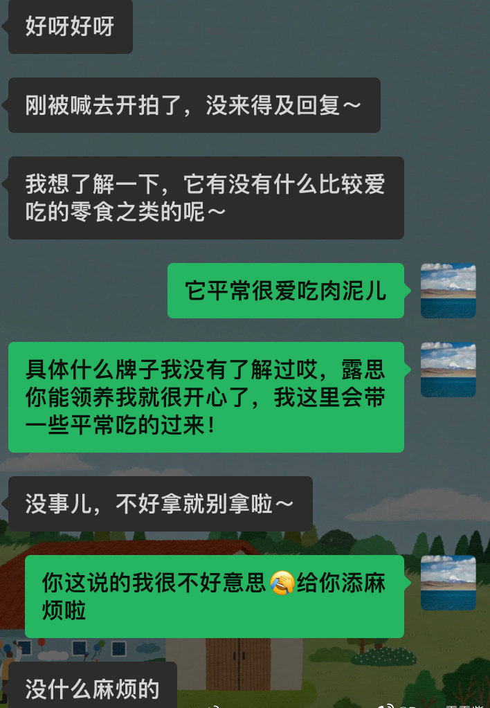 组图:赵露思暖心回应素人求助领养猫咪 细心询问喂养细节人美心善