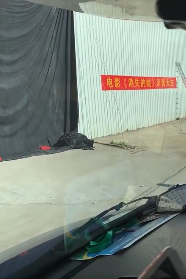 组图：倪妮《消失的她》杀青路透曝光手捧鲜花气质出挑第4张图片