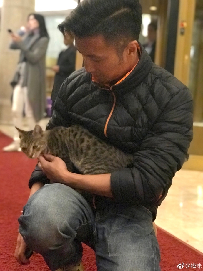 组图谢霆锋酒店门口蹲地撸猫笑容超暖眼神温柔很有爱