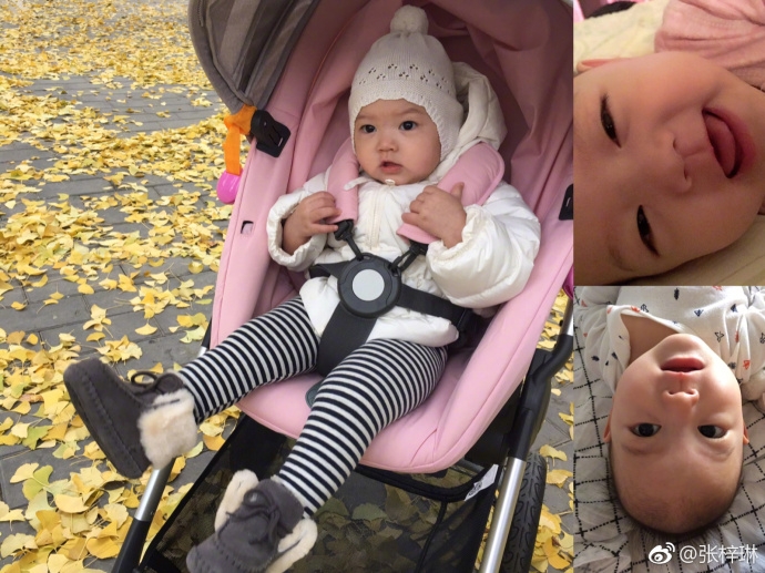 组图:张梓琳女儿手拿枫叶童趣可爱 大眼无辜小短腿软萌