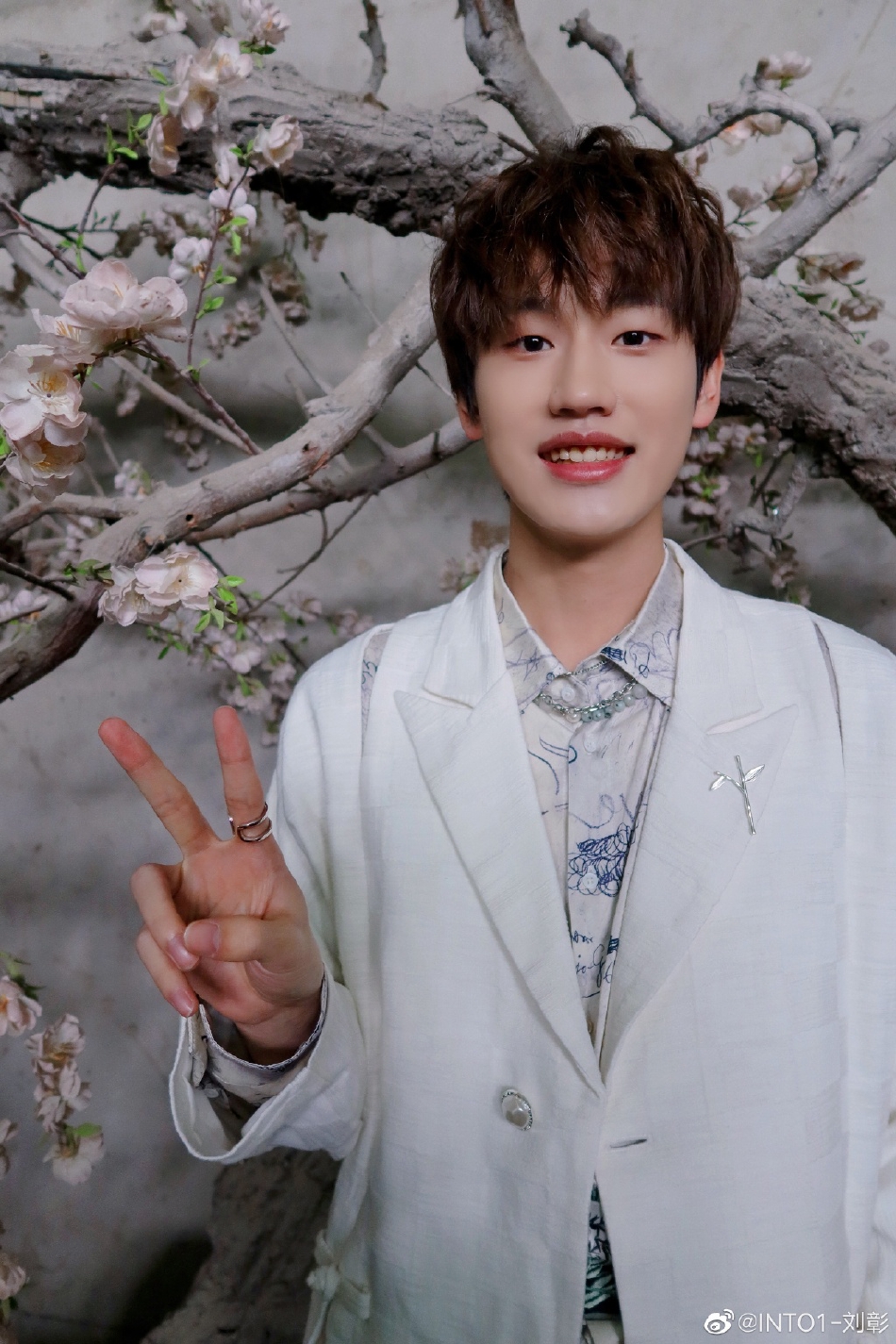 组图into1刘彰发博晒游客照对镜假笑比耶被网友调侃