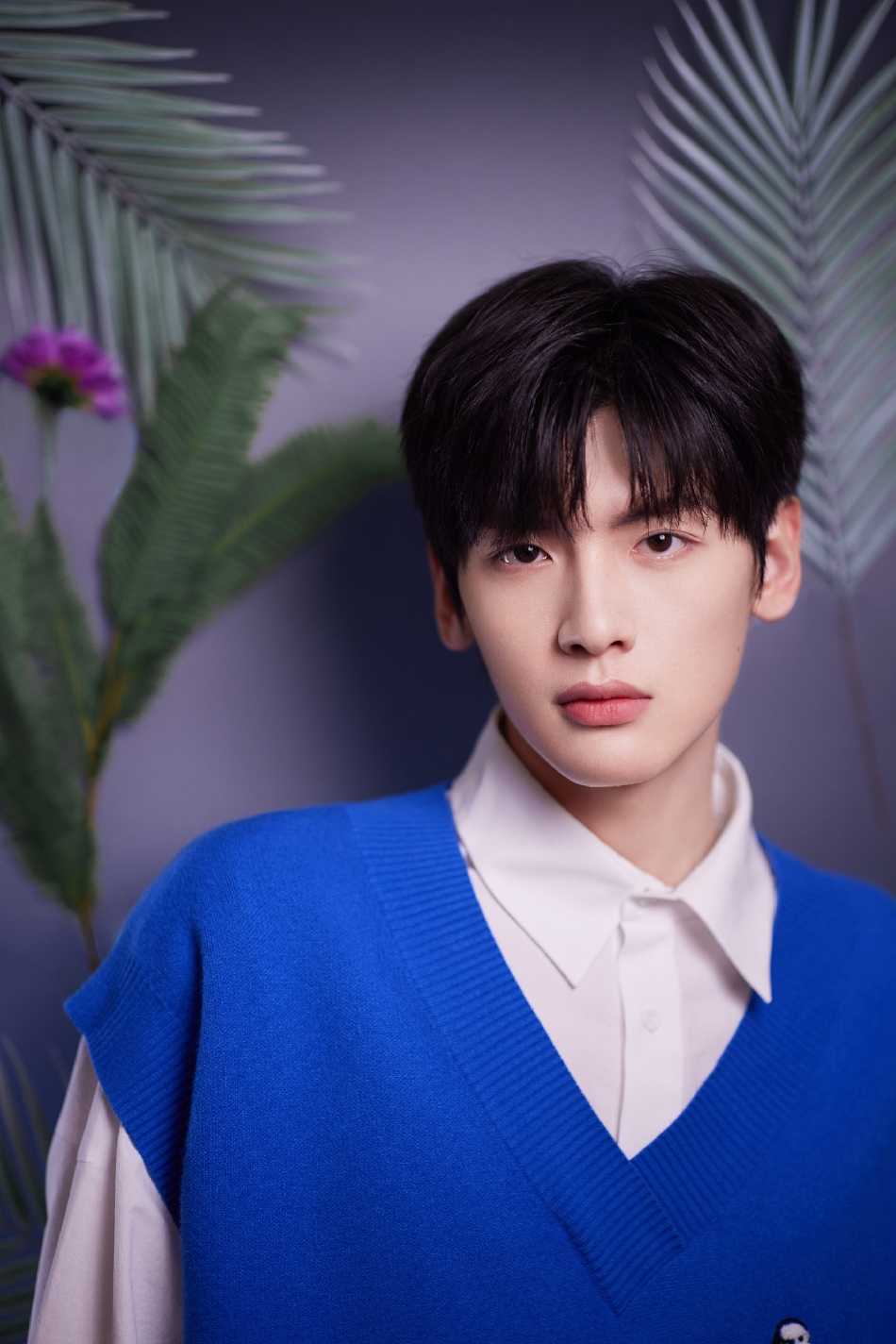 组图：翟潇闻花卉春日大片释出宝蓝色针织马甲配衬衫校园气十足第4张图片