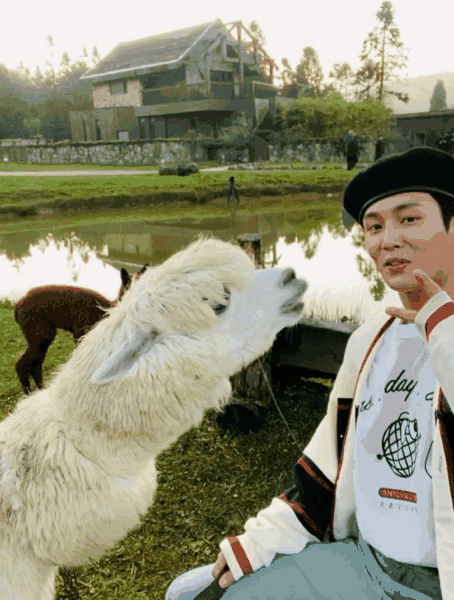 李汶翰与羊驼互喷口水后续 晒合照解释双方"已和解"_新浪图片