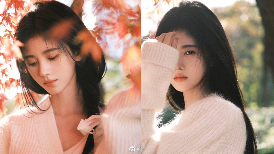 鞠婧祎晒秋冬写真清纯温柔 白毛衣枫树林氛围感十足