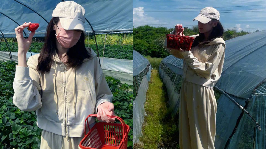 迪丽热巴分享摘草莓美照 手拿草莓开心炫耀可可爱爱