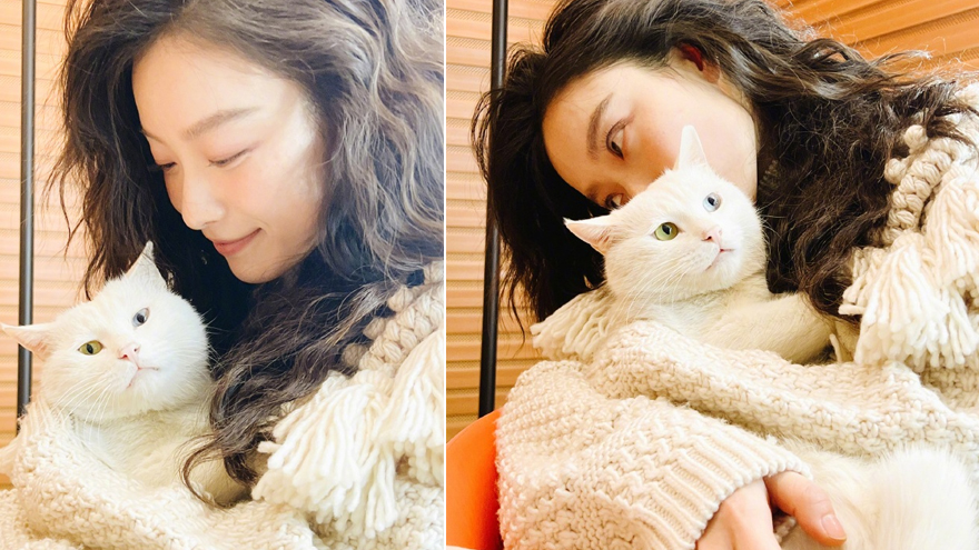 倪妮分享吸猫三连拍 怀抱猫咪眼神温柔气质慵懒