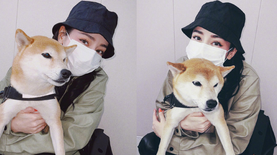 迪丽热巴晒与狗狗贴贴合照 穿着休闲笑眼弯弯心情好