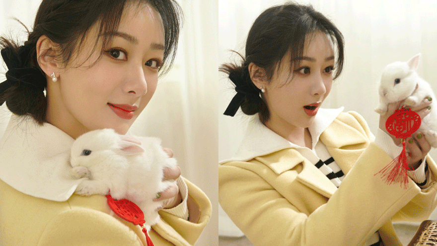 开门见喜！杨紫开工照手捧小兔子对镜头一起卖萌