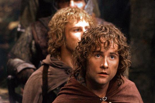 指环王:护戒使者资料页_娱乐资料库_新浪娱乐_新浪网